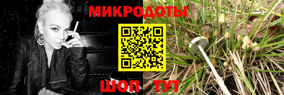 Псилоцибиновые грибы мицелий  Псилоцибиновые грибы Psilocybine cubensis  Видное  Вход с VPN 